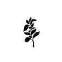 Logo Lightroast Coffee Catering