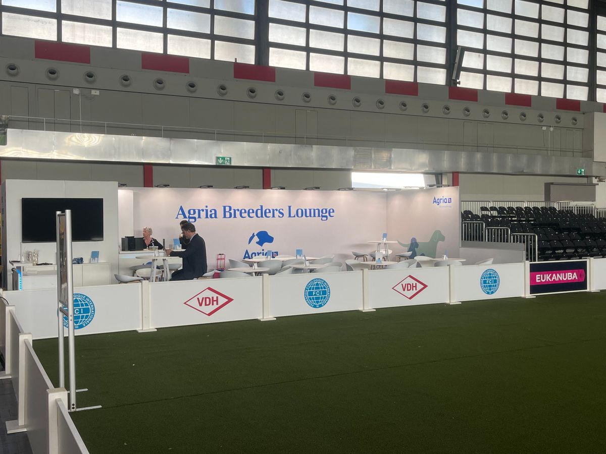messenswert GmbH - Projektbild