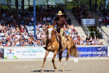 Galerie, MUSTANG MAKEOVER