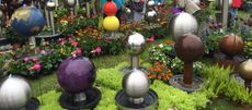 DiGA Freiburg Bild 3
