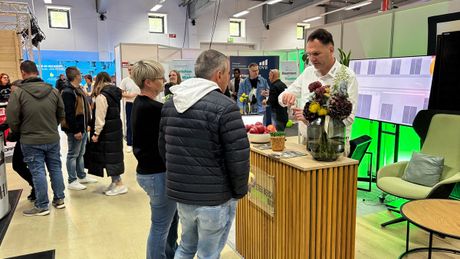 Galerie, Baumesse Paderborn