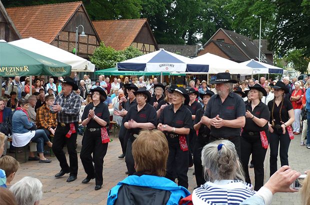 Galerie, Weinfest Steinhude