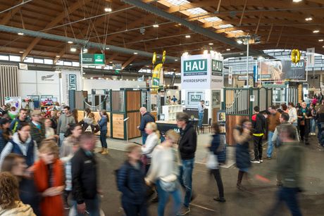 Galerie, PFERD BODENSEE