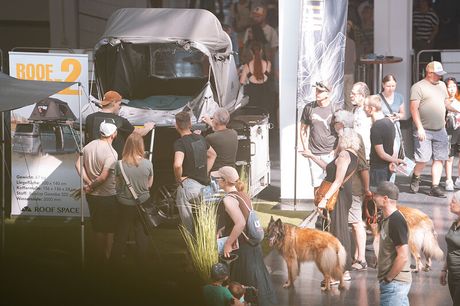 Galerie, ADVENTURE SOUTHSIDE