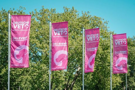 Galerie, DeutscheVET