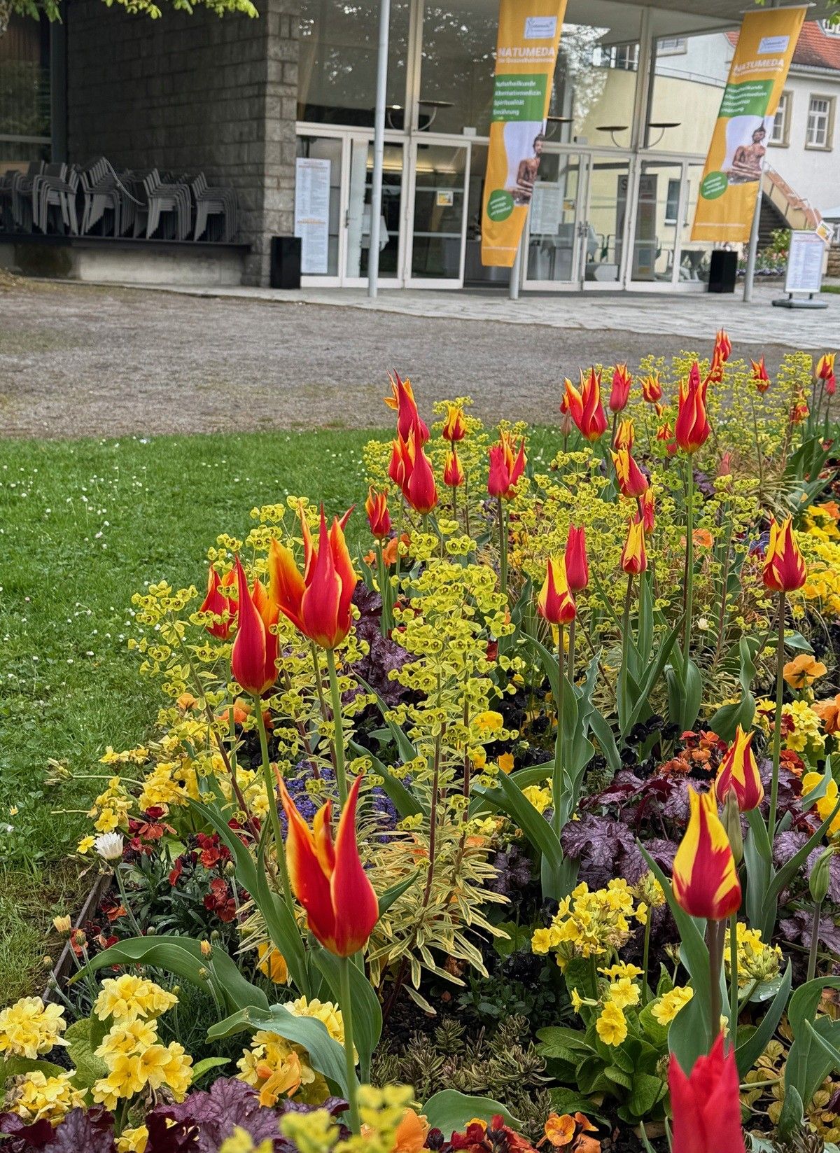 Galerie, Natumeda Gesund & Glücklich Überlingen