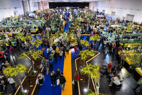 Galerie, DRESDNER OSTERN