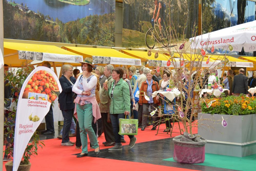 Galerie, 50 PLUS Ried