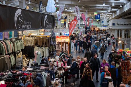 Galerie, PASSION PFERD