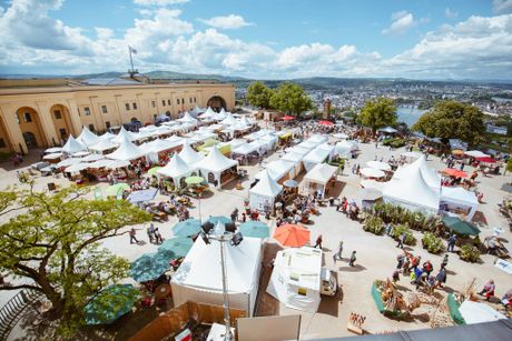 Landpartie Festung Ehrenbreitstein Bild