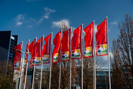 Baumesse Münster Bild