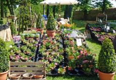 GartenLust Schloss Halbturn Bild 3