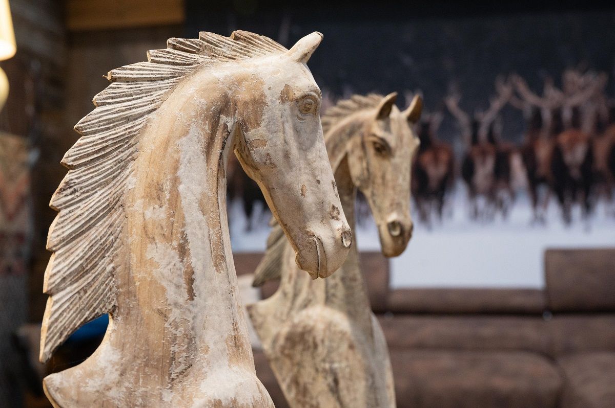 Galerie, PASSION PFERD