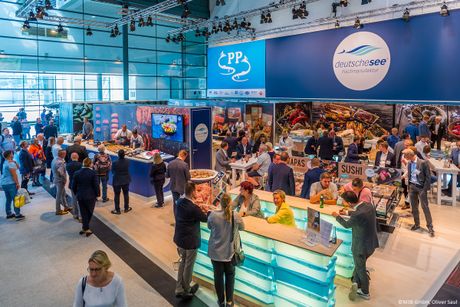 Galerie, fish international