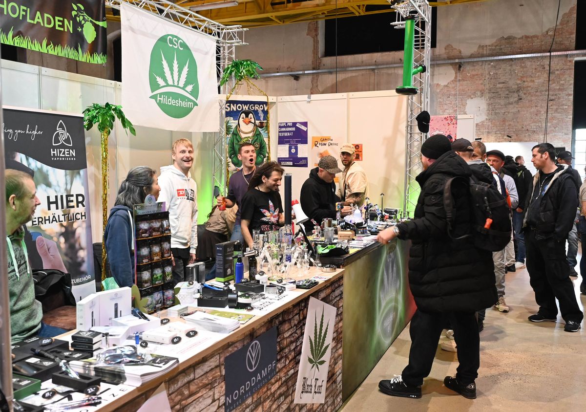 CANNAFRIENDS Bild