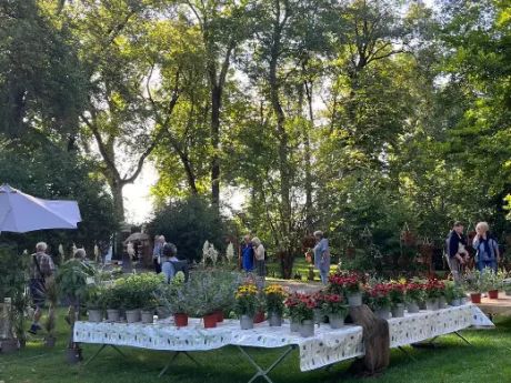 GartenLust Schloss Marchegg Bild