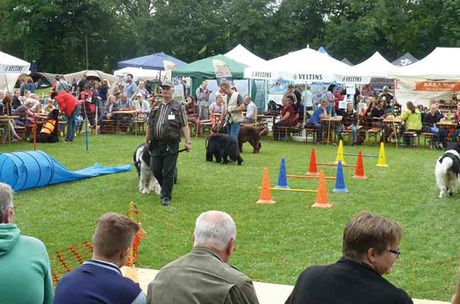 Galerie, DOG DAYS HANNOVER