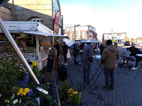 BAUMESSE RHEINE Bild