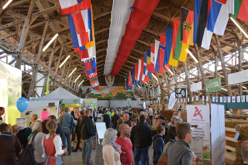 Galerie, RIEDER MESSE