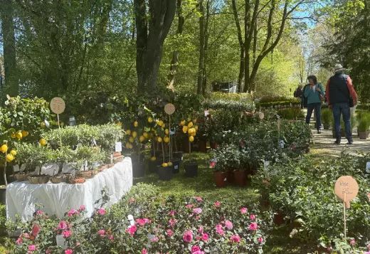GartenLust Schloss Waal Bild