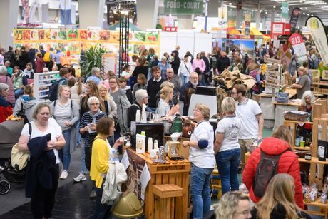 Galerie, infa regional