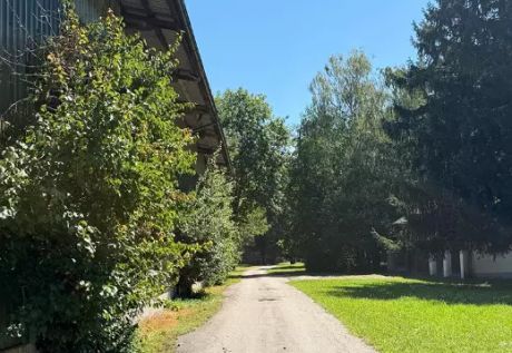 GartenLust Das Sägewerk am Mondsee Bild