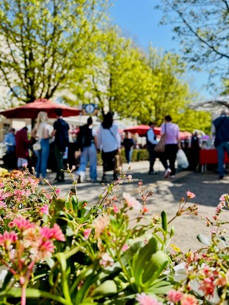 Krefelder Herbstzauber Bild