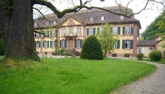DiGA Freiburg Bild