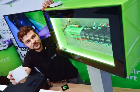 Galerie, Baumesse Chemnitz