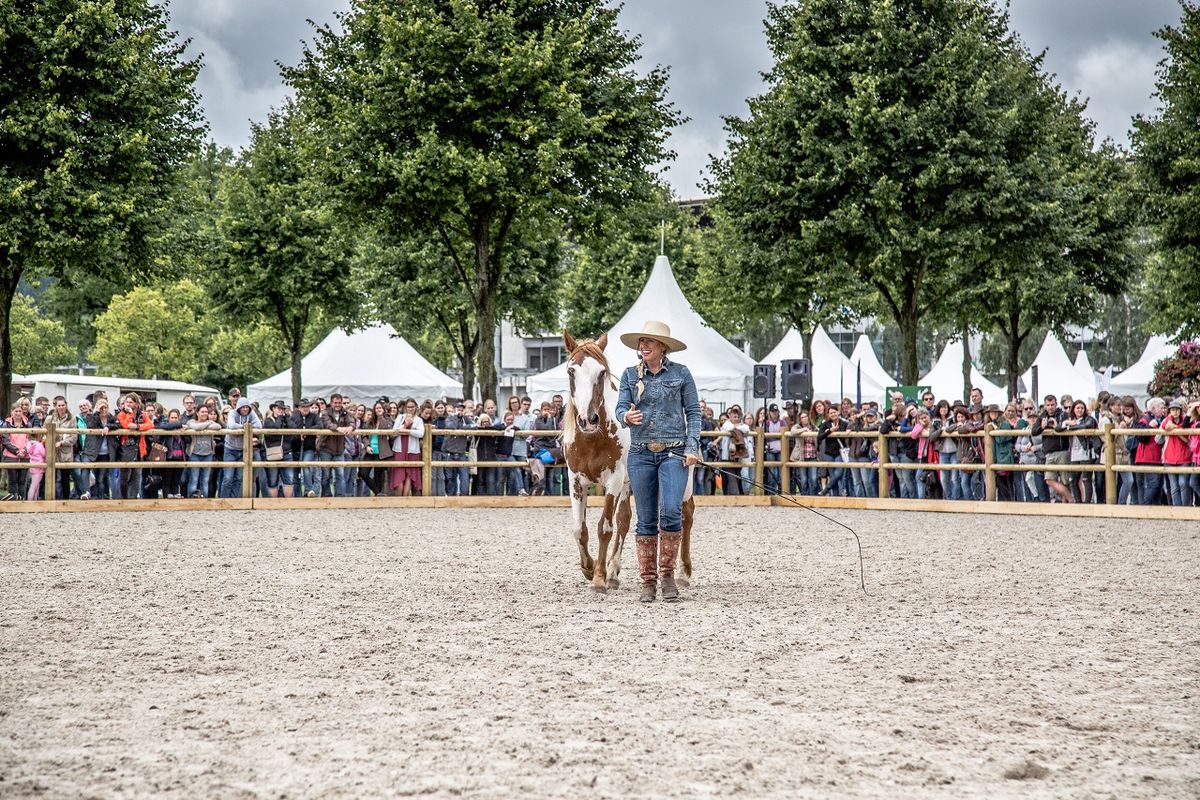Galerie, MUSTANG MAKEOVER