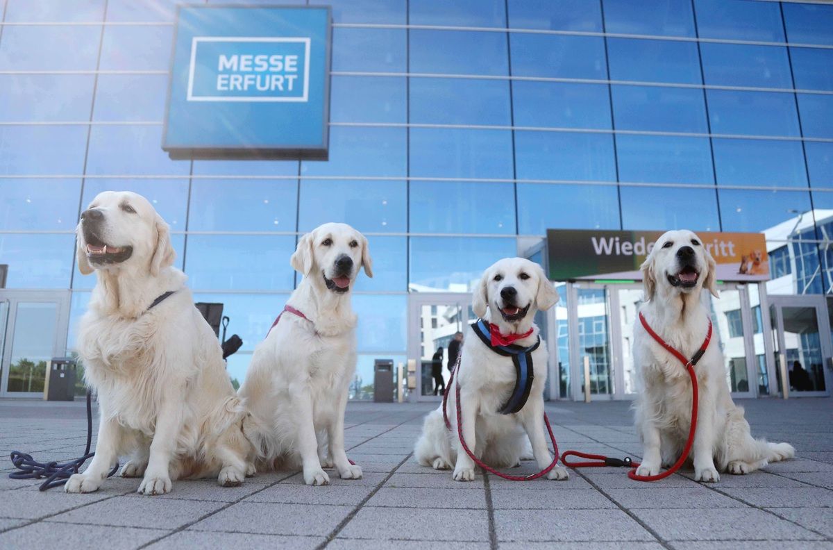 Galerie, Rassehundeausstellung Erfurt