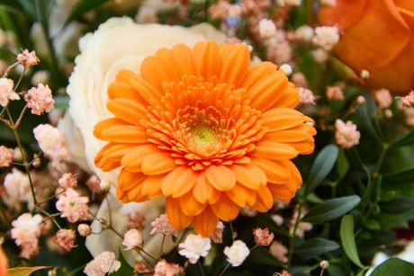 Hochzeiten & Events Messe Mainz Bild