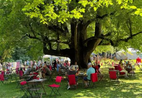 GartenLust Mondsee Bild