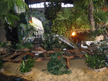 Galerie, Reisen & Caravan