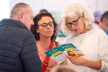 Galerie, gesund leben Frankfurt