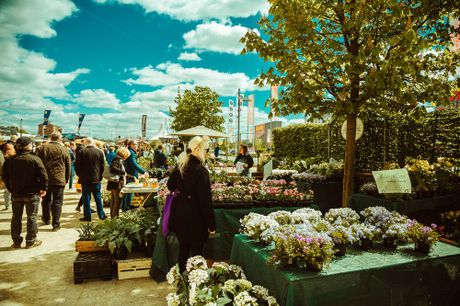 Galerie, HAUS & GARTEN MESSE SAAR