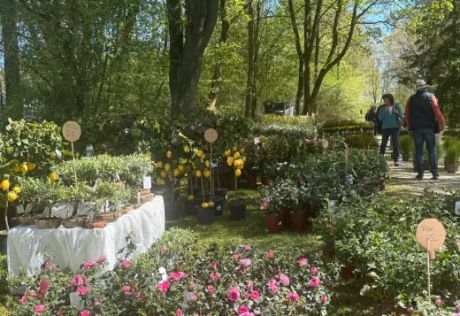 GartenLust Schloss Waal Bild