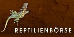 Reptilienbörse Böblingen Logo