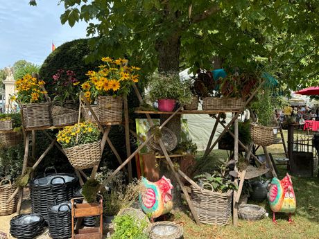 GartenLust Schloss Eckartsau Bild