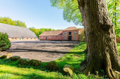 Galerie, messe4dogs Emkendorf