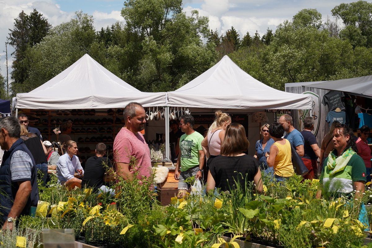 Galerie, gusto!-Sommerfestival