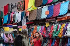 PASSION PFERD Bild 3