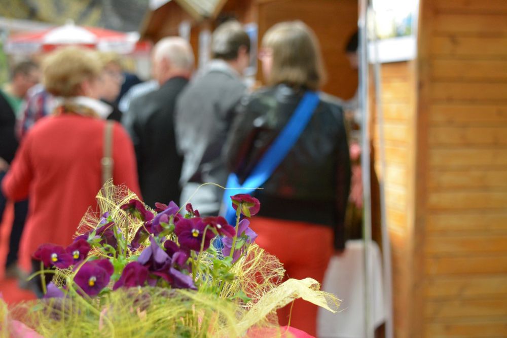 Galerie, 50 PLUS Ried