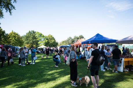 Galerie, BELLO Castrop-Rauxel