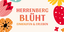 Herrenberg blüht Logo