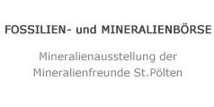 FOSSILIEN- und MINERALIENBÖRSE Logo