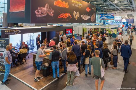 Galerie, fish international