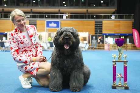 Galerie, Rassehundeausstellung Erfurt
