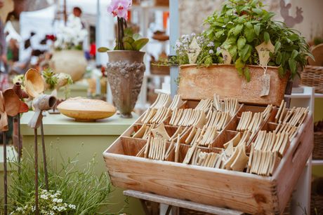 Galerie, Herbstpartie Kloster Kamp
