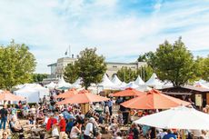 Krefelder Gartenwelt Bild 1